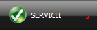 SERVICII